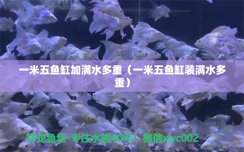 一米五魚缸加滿水多重（一米五魚缸裝滿水多重） 魚缸百科