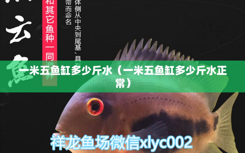 一米五魚缸多少斤水（一米五魚缸多少斤水正常） 魚缸百科