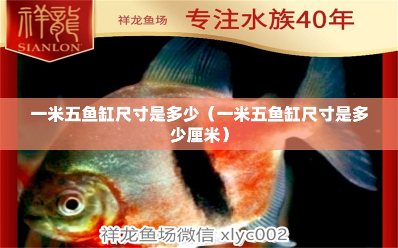 一米五魚(yú)缸尺寸是多少（一米五魚(yú)缸尺寸是多少厘米）