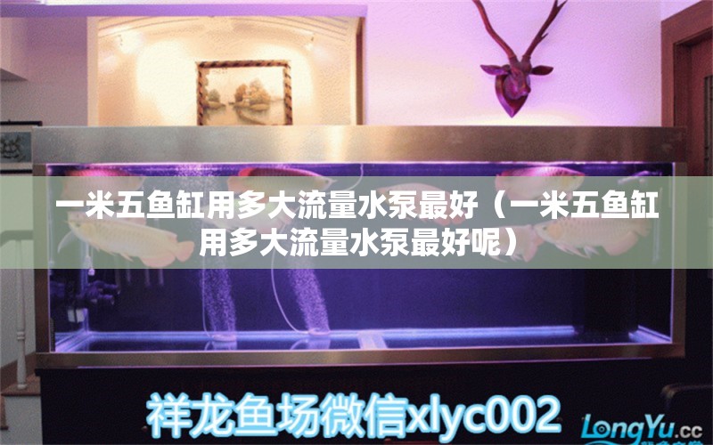 一米五魚(yú)缸用多大流量水泵最好（一米五魚(yú)缸用多大流量水泵最好呢） 魚(yú)缸百科