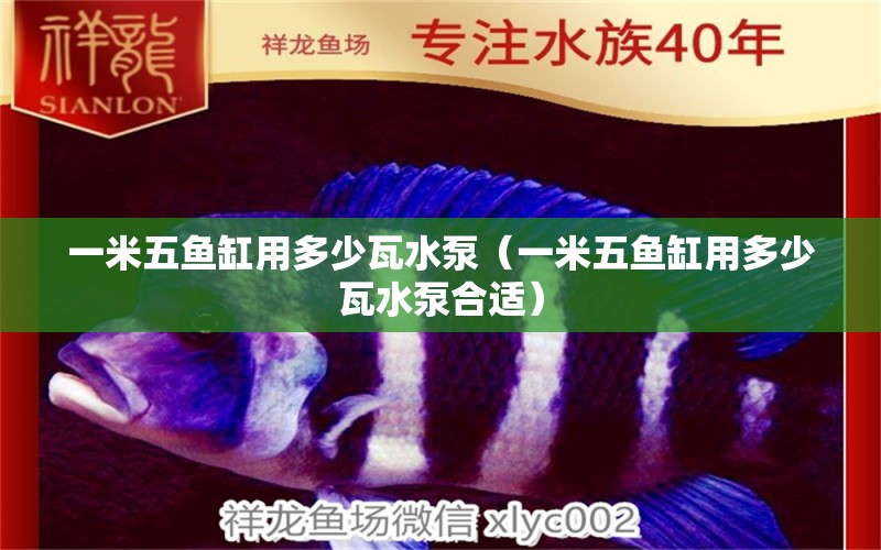 一米五魚缸用多少瓦水泵（一米五魚缸用多少瓦水泵合適）