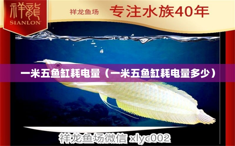 一米五魚缸耗電量（一米五魚缸耗電量多少） 魚缸百科