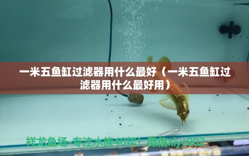 一米五魚缸過濾器用什么最好（一米五魚缸過濾器用什么最好用） 魚缸百科