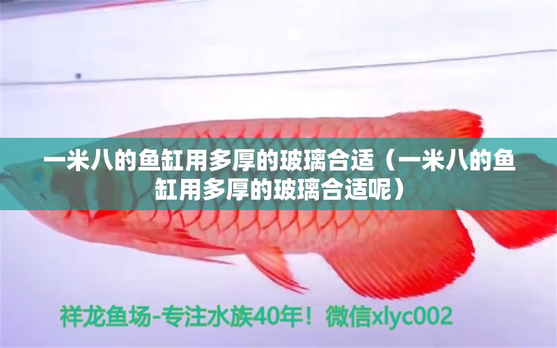 一米八的魚缸用多厚的玻璃合適（一米八的魚缸用多厚的玻璃合適呢）