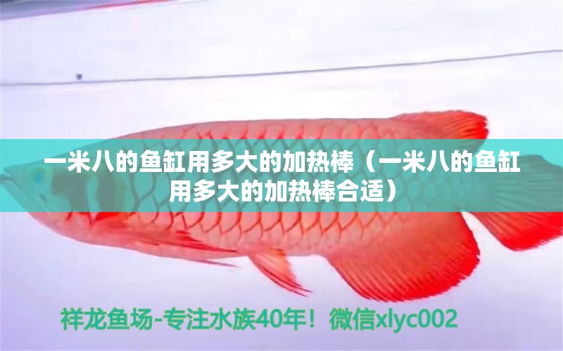 一米八的魚缸用多大的加熱棒（一米八的魚缸用多大的加熱棒合適）