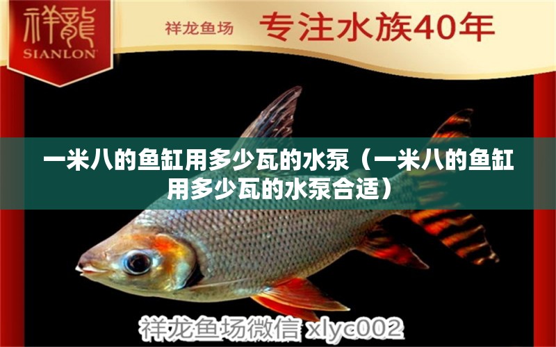 一米八的魚(yú)缸用多少瓦的水泵（一米八的魚(yú)缸用多少瓦的水泵合適）