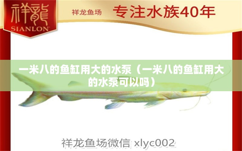 一米八的魚缸用大的水泵（一米八的魚缸用大的水泵可以嗎）