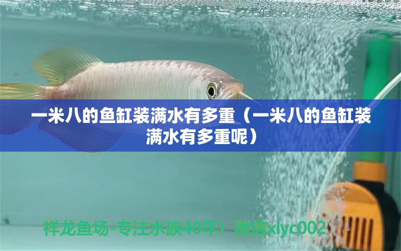 一米八的魚缸裝滿水有多重（一米八的魚缸裝滿水有多重呢）