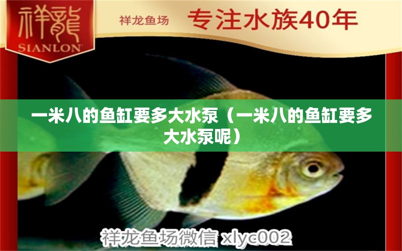 一米八的魚缸要多大水泵（一米八的魚缸要多大水泵呢）