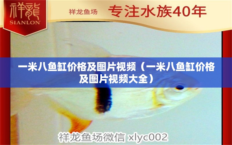 一米八魚(yú)缸價(jià)格及圖片視頻（一米八魚(yú)缸價(jià)格及圖片視頻大全） 海水魚(yú)（海水魚(yú)批發(fā)）