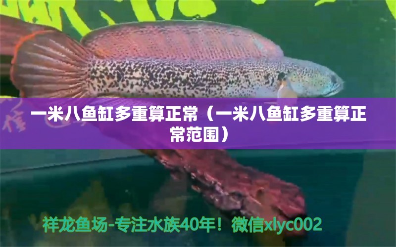 一米八魚缸多重算正常（一米八魚缸多重算正常范圍）