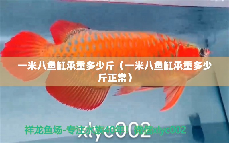 一米八魚缸承重多少斤（一米八魚缸承重多少斤正常）