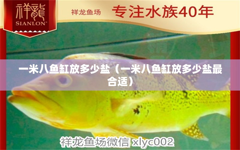 一米八魚缸放多少鹽（一米八魚缸放多少鹽最合適）