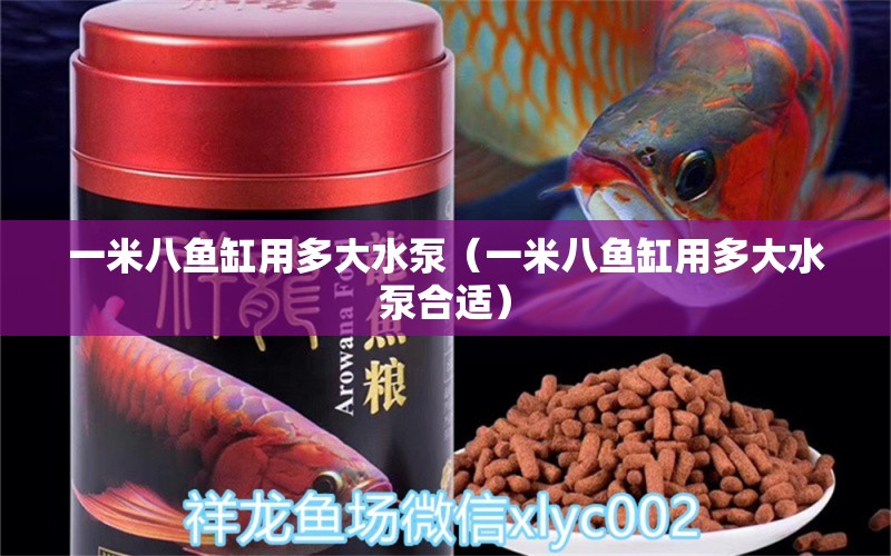 一米八魚缸用多大水泵（一米八魚缸用多大水泵合適）