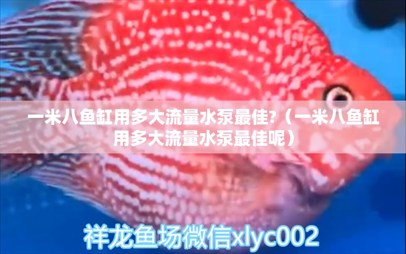 一米八魚缸用多大流量水泵最佳?（一米八魚缸用多大流量水泵最佳呢）