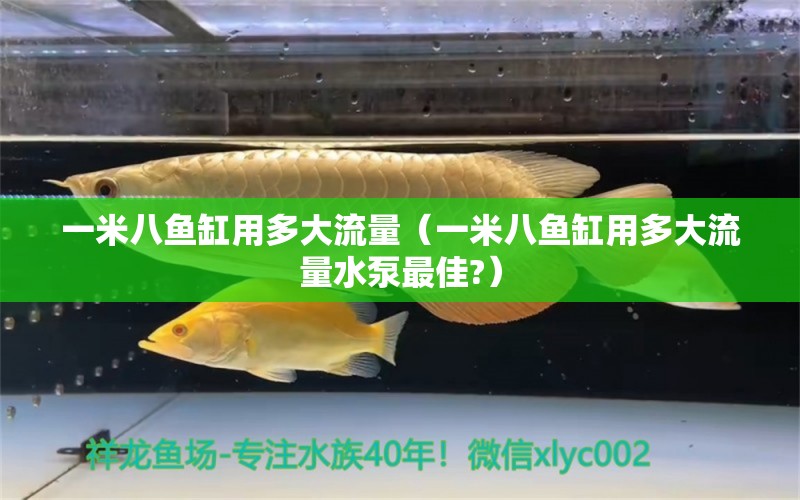 一米八魚缸用多大流量（一米八魚缸用多大流量水泵最佳?）