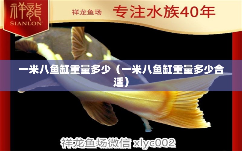 一米八魚缸重量多少（一米八魚缸重量多少合適）