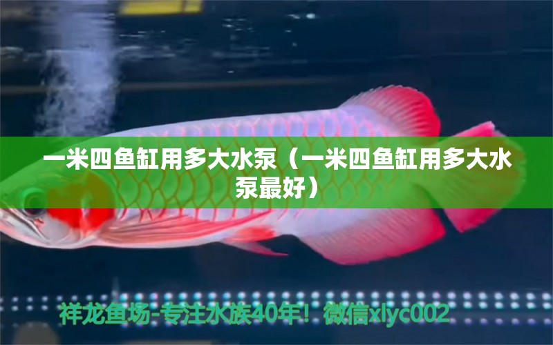 一米四魚缸用多大水泵（一米四魚缸用多大水泵最好） 其他品牌魚缸