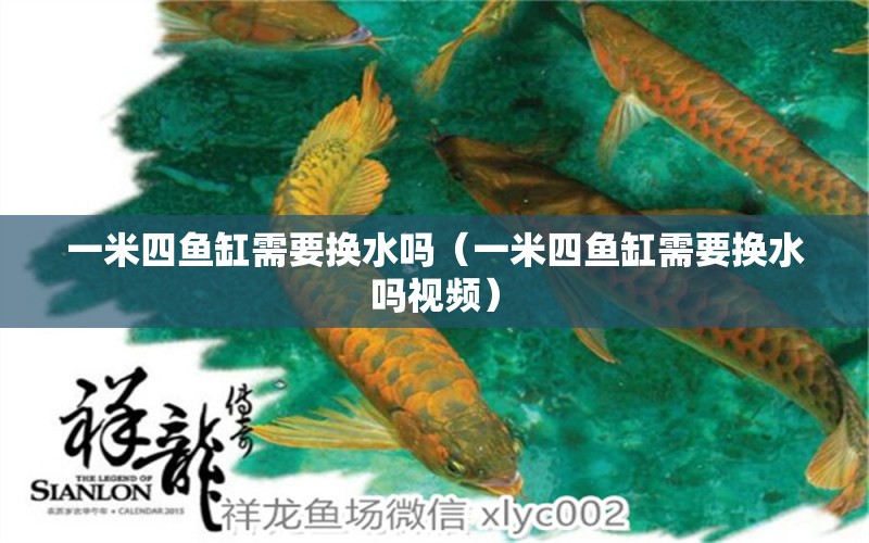 一米四魚缸需要換水嗎（一米四魚缸需要換水嗎視頻）