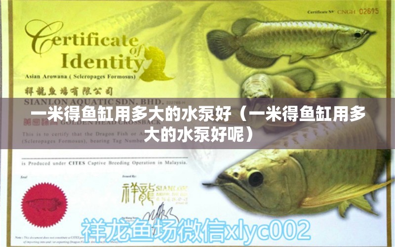 一米得魚缸用多大的水泵好（一米得魚缸用多大的水泵好呢）