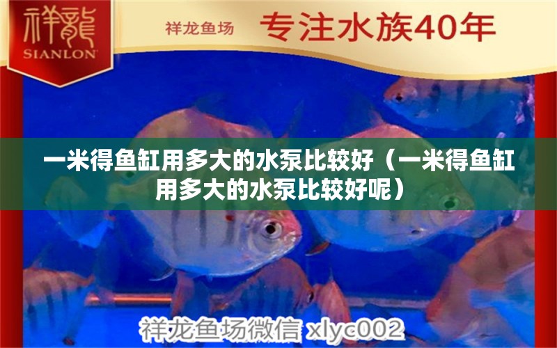 一米得魚缸用多大的水泵比較好（一米得魚缸用多大的水泵比較好呢）