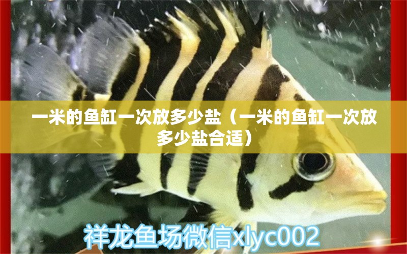 一米的魚缸一次放多少鹽（一米的魚缸一次放多少鹽合適） 其他品牌魚缸