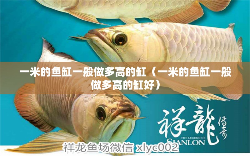 一米的魚缸一般做多高的缸（一米的魚缸一般做多高的缸好）