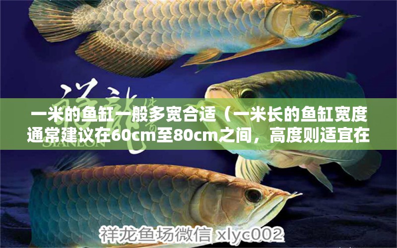 一米的魚缸一般多寬合適（一米長的魚缸寬度通常建議在60cm至80cm之間，高度則適宜在40cm至60cm） 魚缸百科 第2張