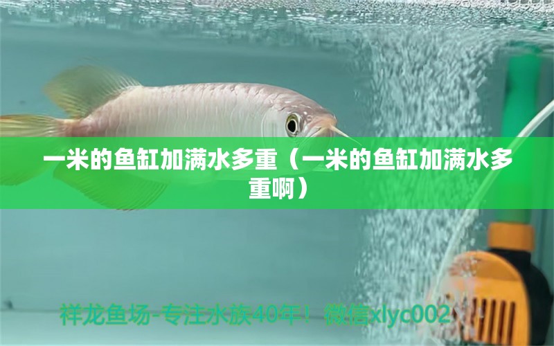 一米的魚缸加滿水多重（一米的魚缸加滿水多重?。?其他品牌魚缸