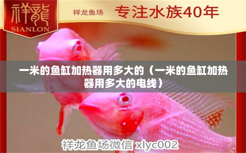 一米的魚缸加熱器用多大的（一米的魚缸加熱器用多大的電線）