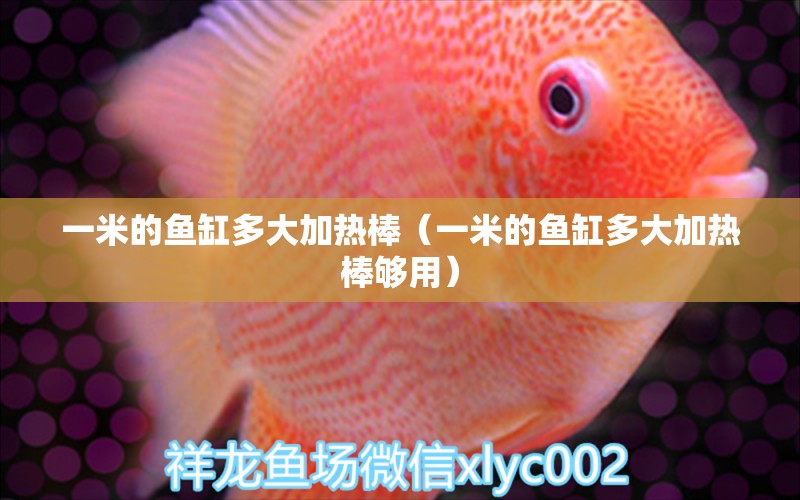 一米的魚缸多大加熱棒（一米的魚缸多大加熱棒夠用）