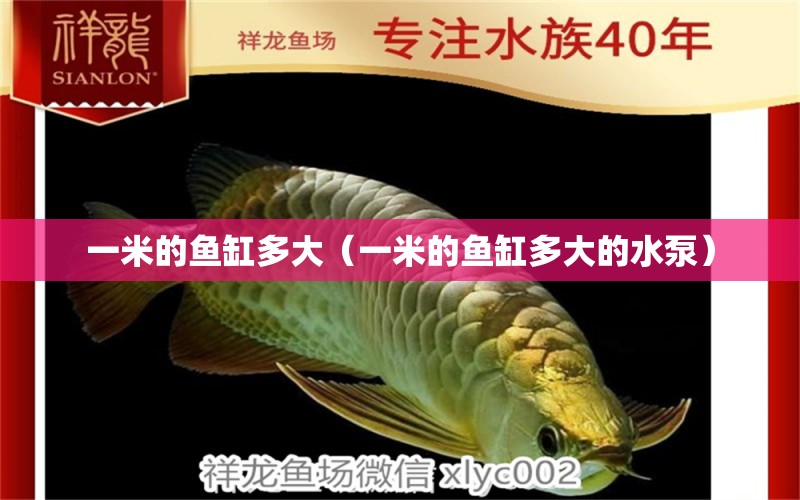 一米的魚缸多大（一米的魚缸多大的水泵）