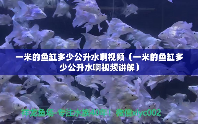 一米的魚缸多少公升水啊視頻（一米的魚缸多少公升水啊視頻講解）