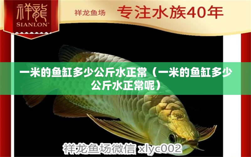 一米的魚缸多少公斤水正常（一米的魚缸多少公斤水正常呢）