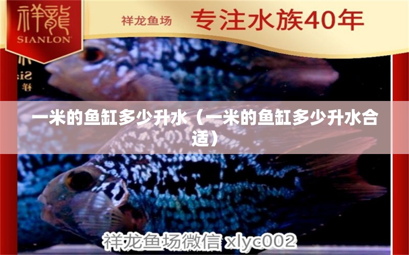 一米的魚缸多少升水（一米的魚缸多少升水合適）