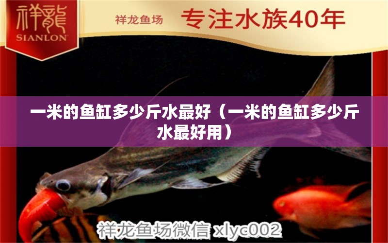 一米的魚缸多少斤水最好（一米的魚缸多少斤水最好用） 魚缸百科