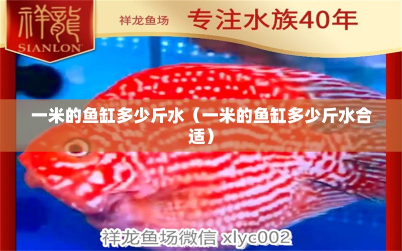 一米的魚(yú)缸多少斤水（一米的魚(yú)缸多少斤水合適）