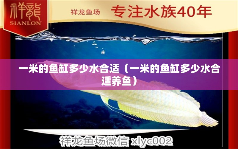 一米的魚(yú)缸多少水合適（一米的魚(yú)缸多少水合適養(yǎng)魚(yú)） 魚(yú)缸百科