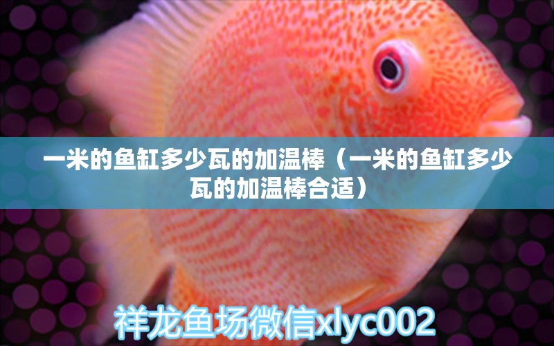 一米的魚缸多少瓦的加溫棒（一米的魚缸多少瓦的加溫棒合適）