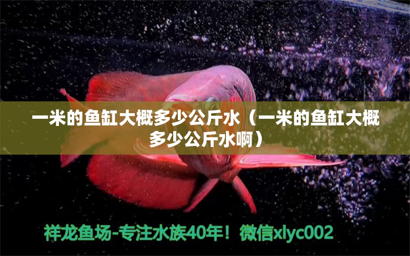 一米的魚(yú)缸大概多少公斤水（一米的魚(yú)缸大概多少公斤水?。? title=