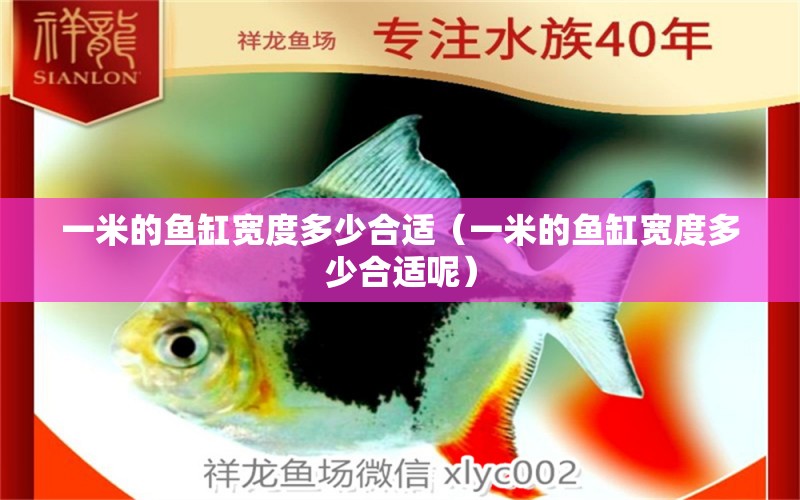 一米的魚缸寬度多少合適（一米的魚缸寬度多少合適呢） 魚缸百科