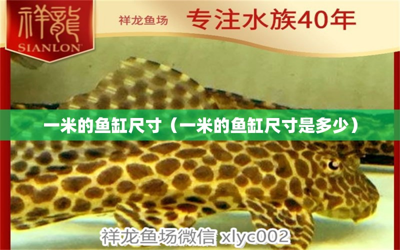 一米的魚(yú)缸尺寸（一米的魚(yú)缸尺寸是多少） 魚(yú)缸百科