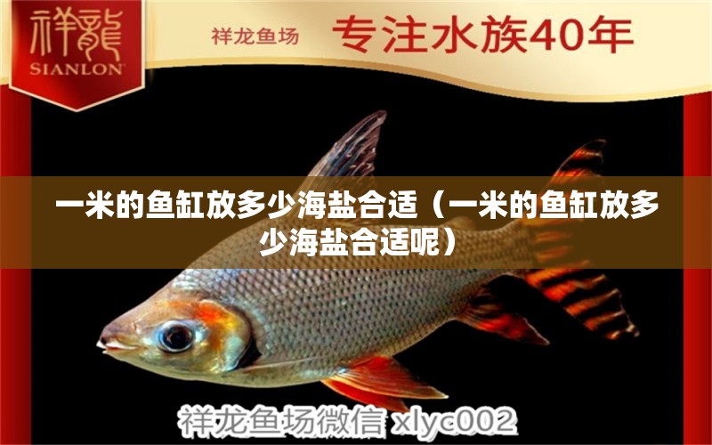 一米的魚缸放多少海鹽合適（一米的魚缸放多少海鹽合適呢）