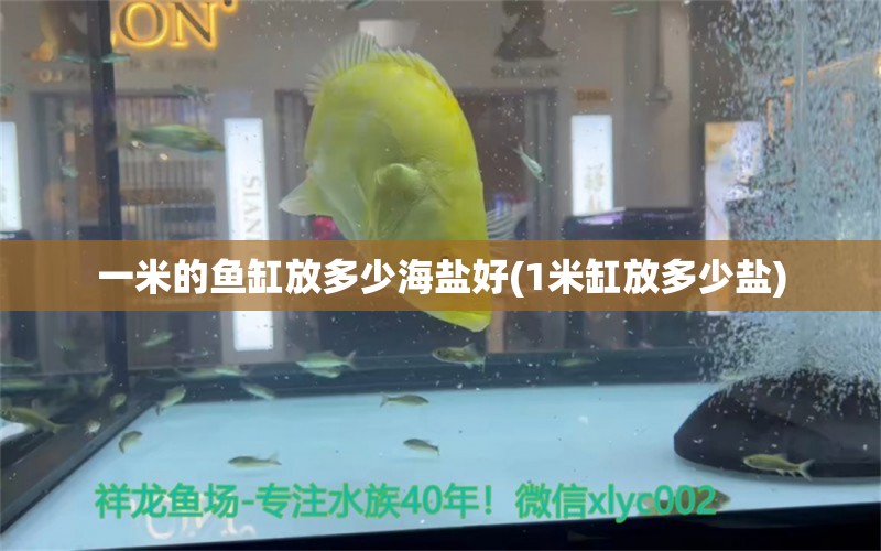 一米的魚缸放多少海鹽好(1米缸放多少鹽)