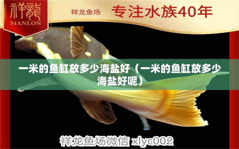 一米的魚缸放多少海鹽好（一米的魚缸放多少海鹽好呢）