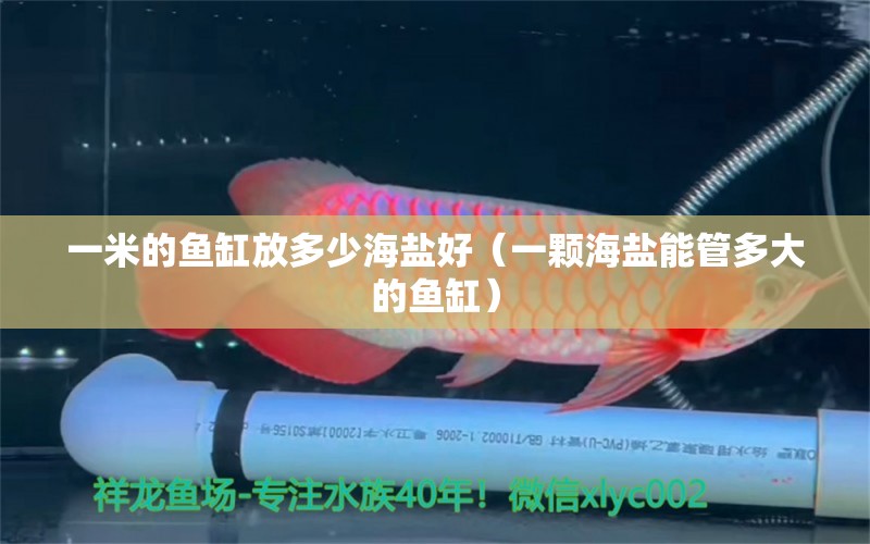 一米的魚缸放多少海鹽好（一顆海鹽能管多大的魚缸）