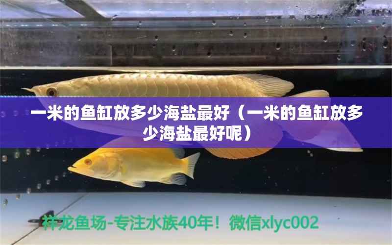 一米的魚缸放多少海鹽最好（一米的魚缸放多少海鹽最好呢） 其他品牌魚缸