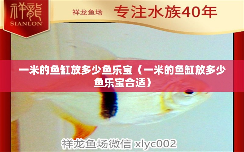 一米的魚缸放多少魚樂寶（一米的魚缸放多少魚樂寶合適） 魚缸百科