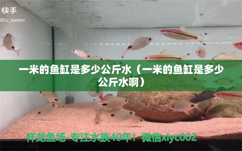 一米的魚缸是多少公斤水（一米的魚缸是多少公斤水?。?魚缸百科