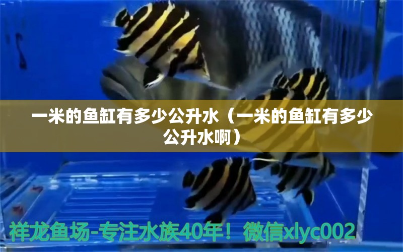 一米的魚缸有多少公升水（一米的魚缸有多少公升水?。? title=